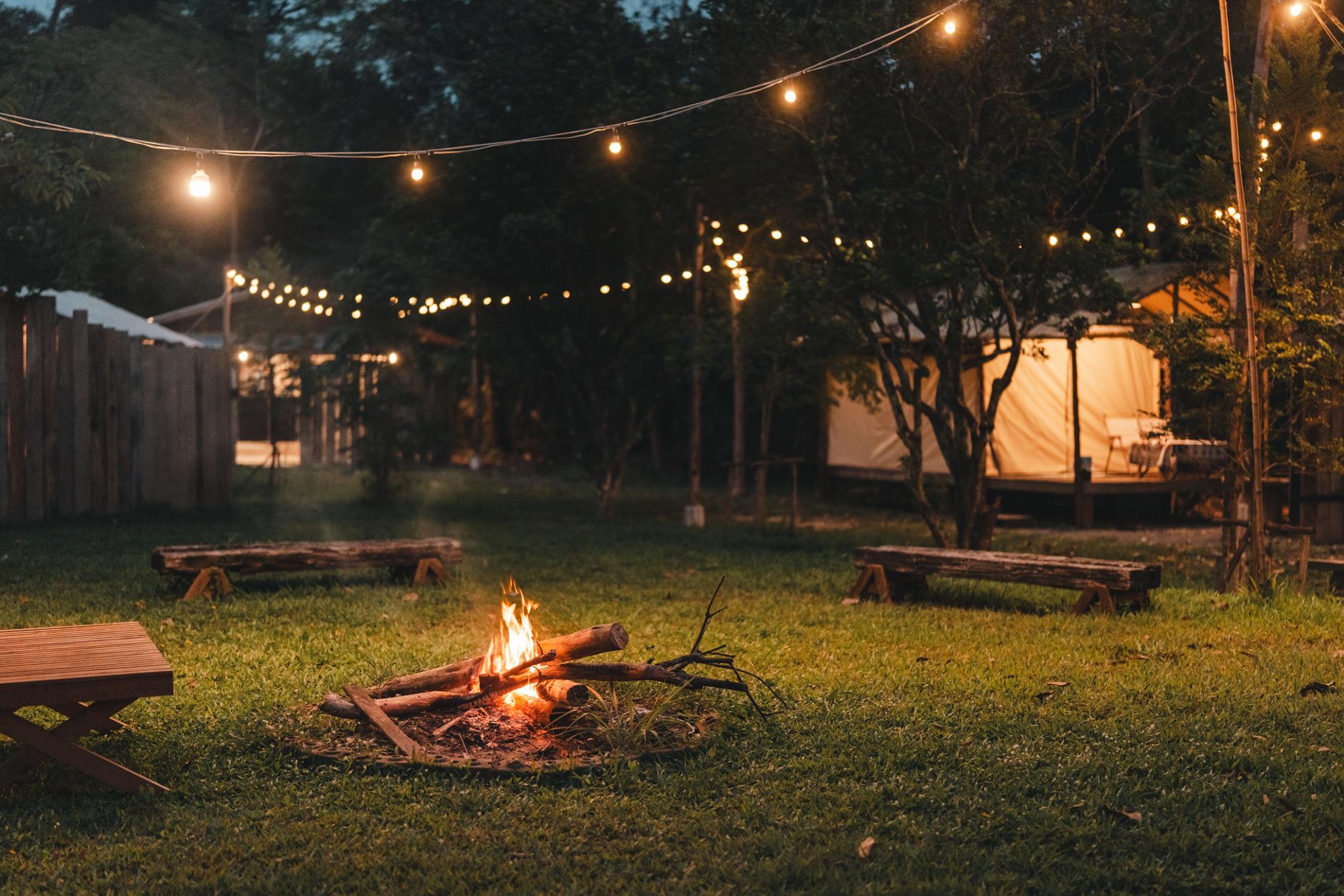 Campfire Nights